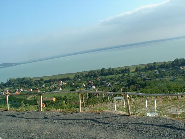 02-09-04-gyr 039