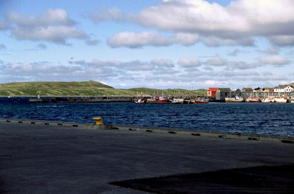 A35_36
