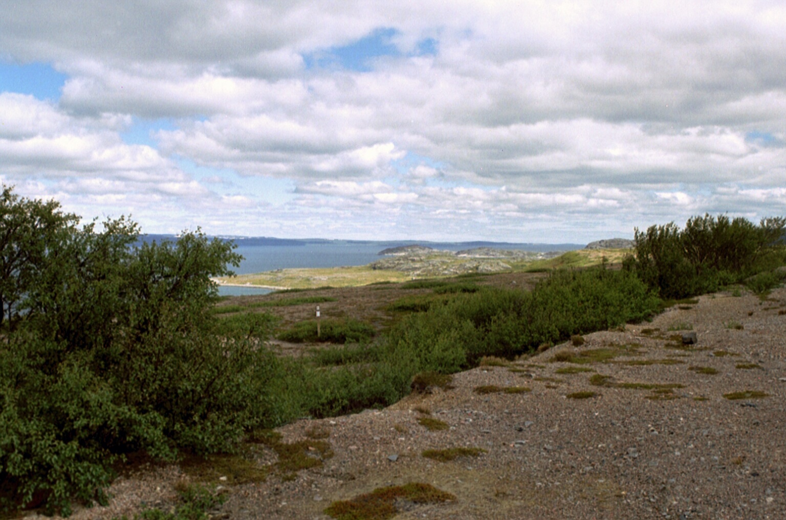 A31_32