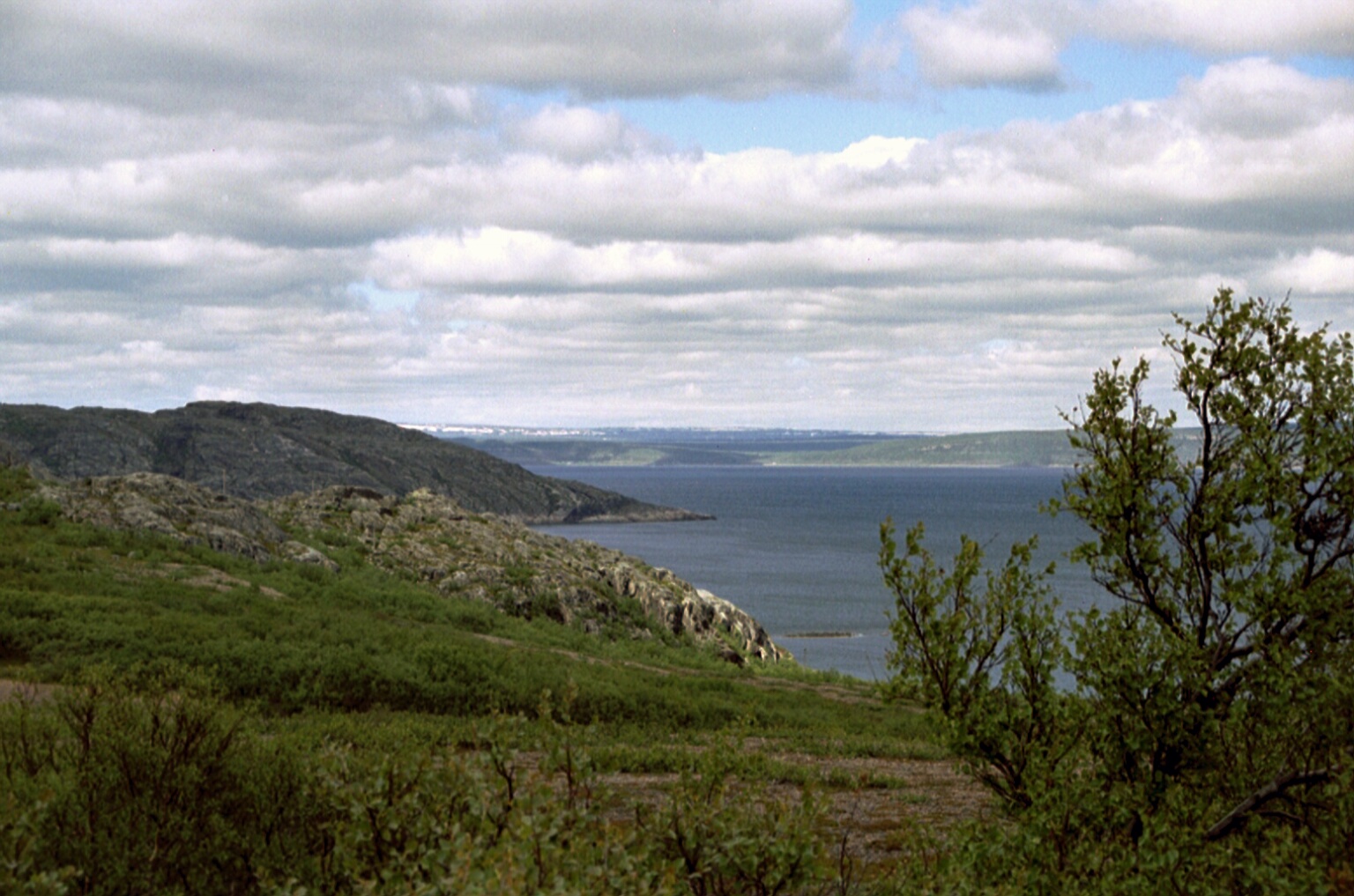 A32_33