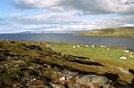 Album: Nordkap 2002 (E-CD2) Album: Nordkap 2002 (E-CD2)