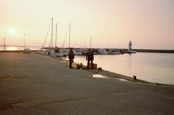 imm011