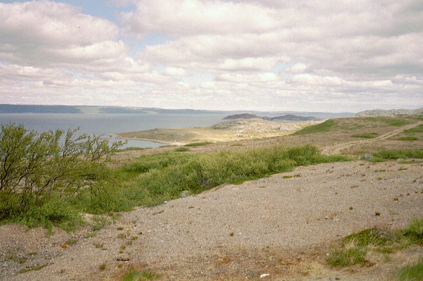 imm007