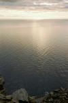 imm008 imm008
