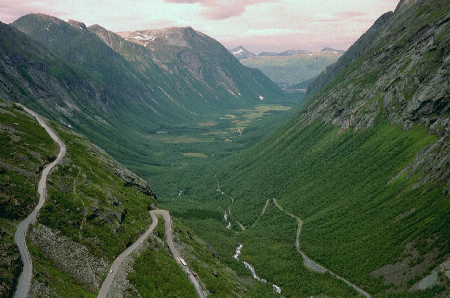imm014
