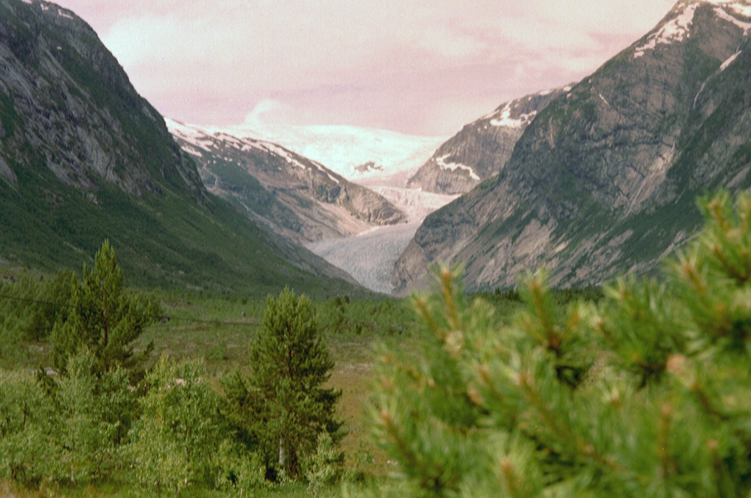 imm003