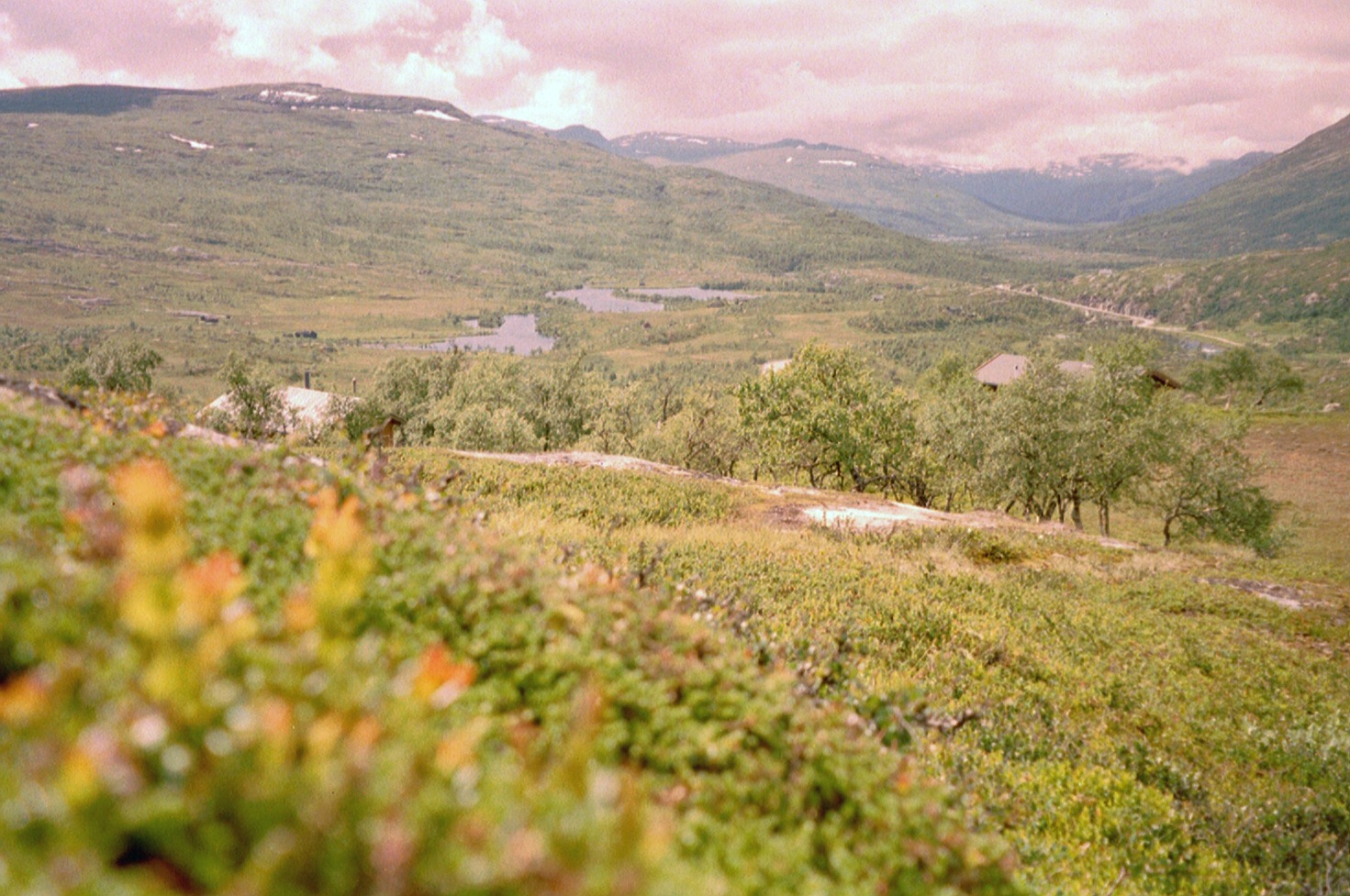 imm013