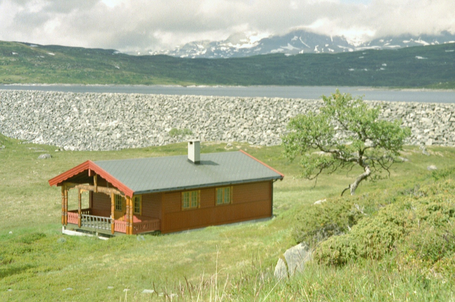 imm014