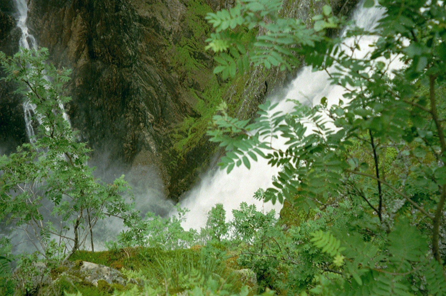 imm020