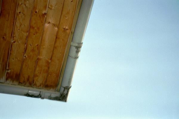 imm027