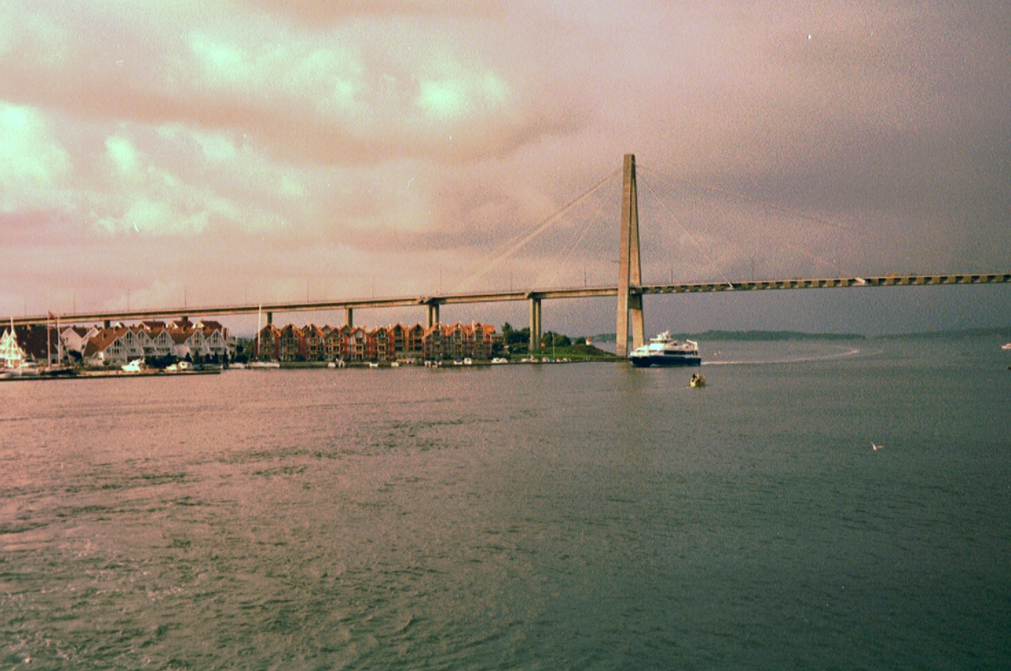 imm001