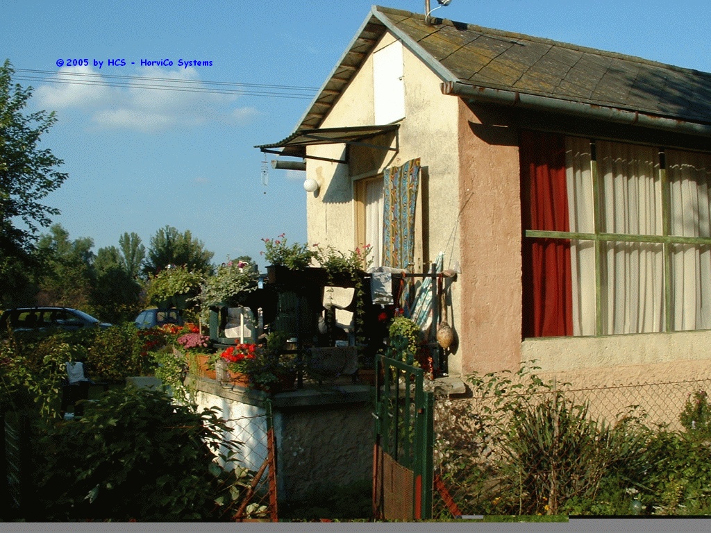 06-0007