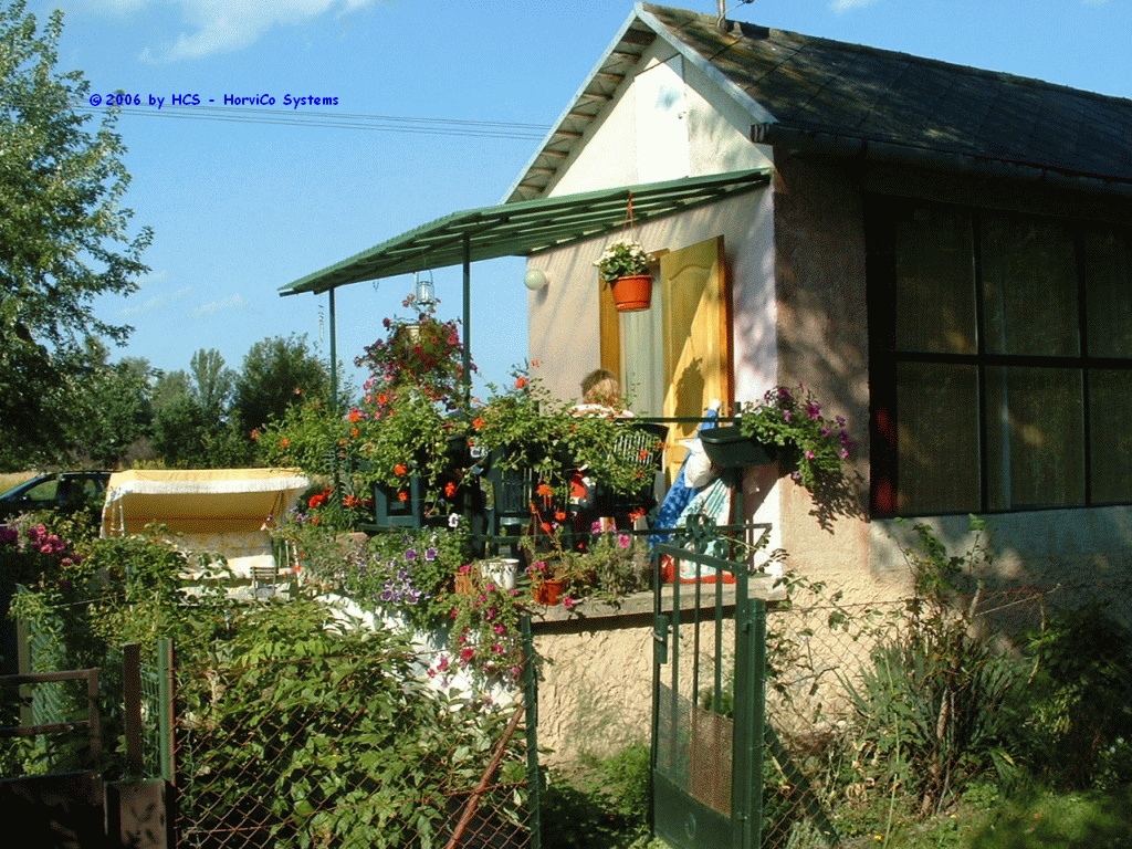 DSCF0004
