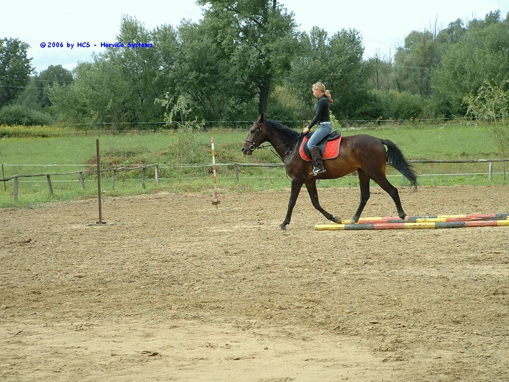 DSCF0006