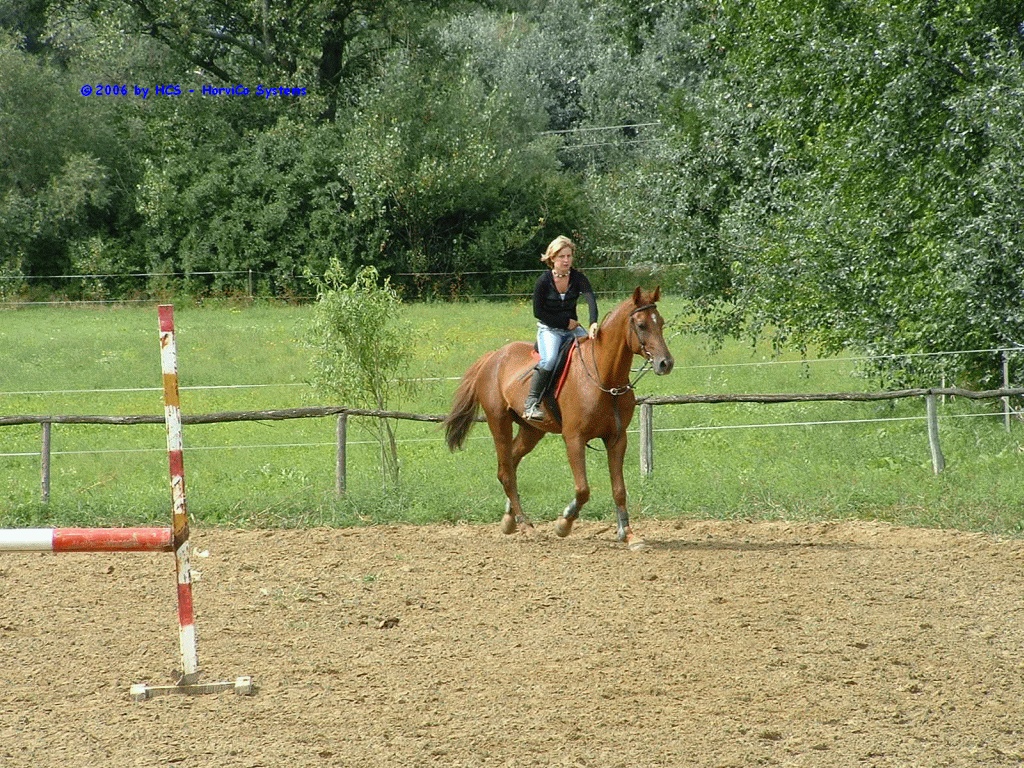 DSCF0027