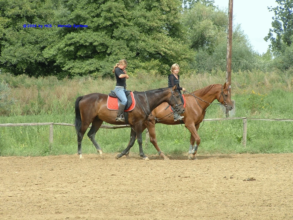 DSCF0038