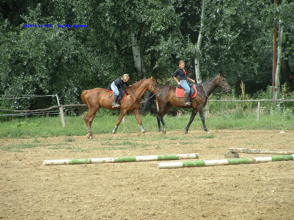 DSCF0041