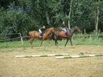 DSCF0041 DSCF0041