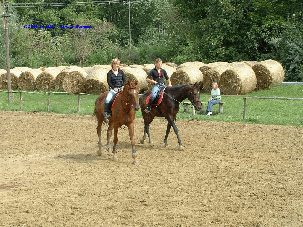 DSCF0042