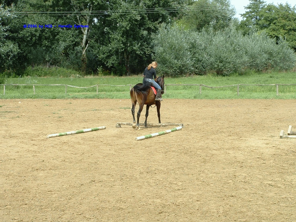 DSCF0046