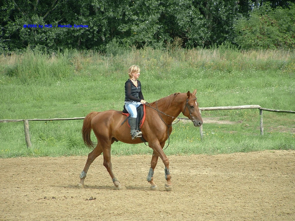 DSCF0048