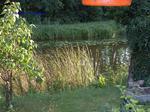 DSCF0009