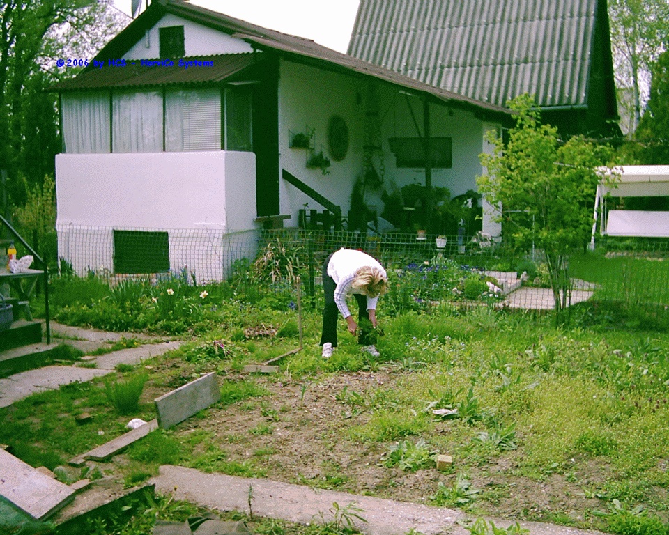 DSCI0034