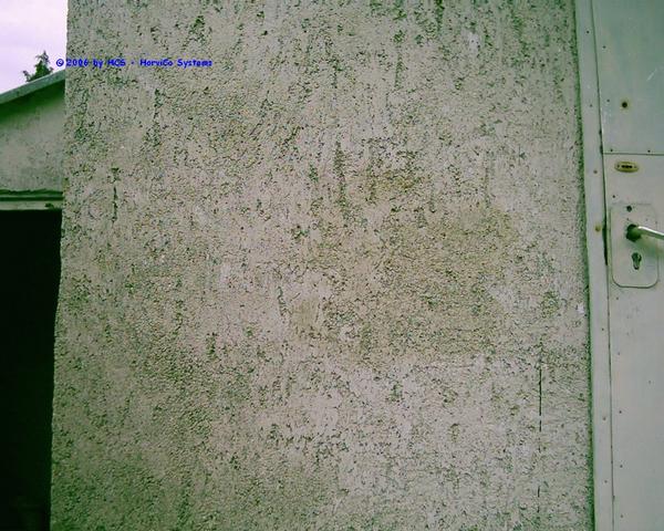 DSCI0060