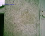 DSCI0060 DSCI0060