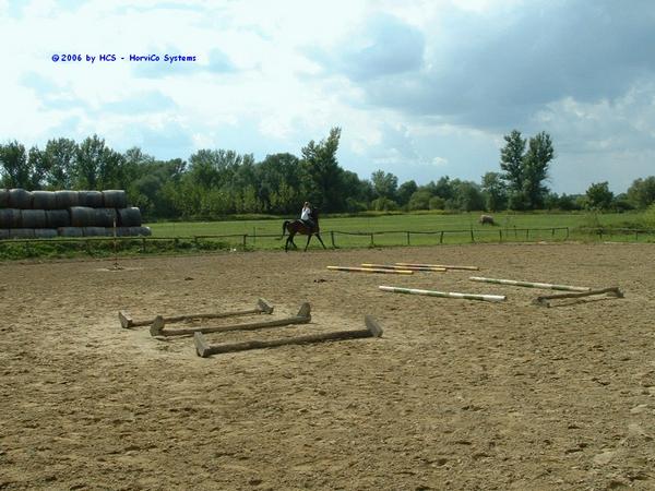 DSCF0038