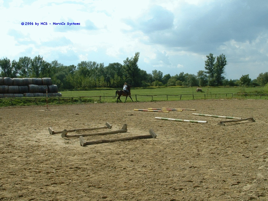 DSCF0038