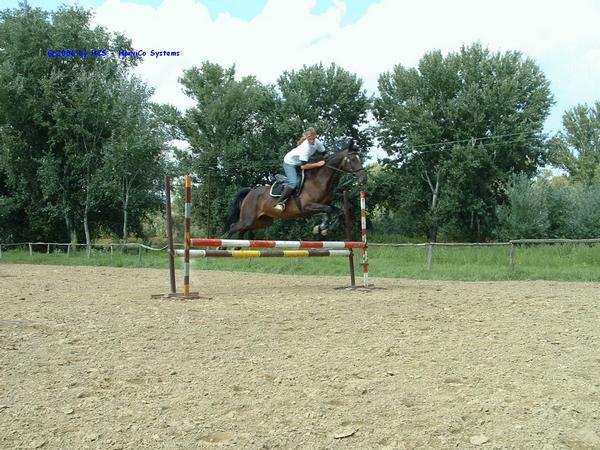 DSCF0046