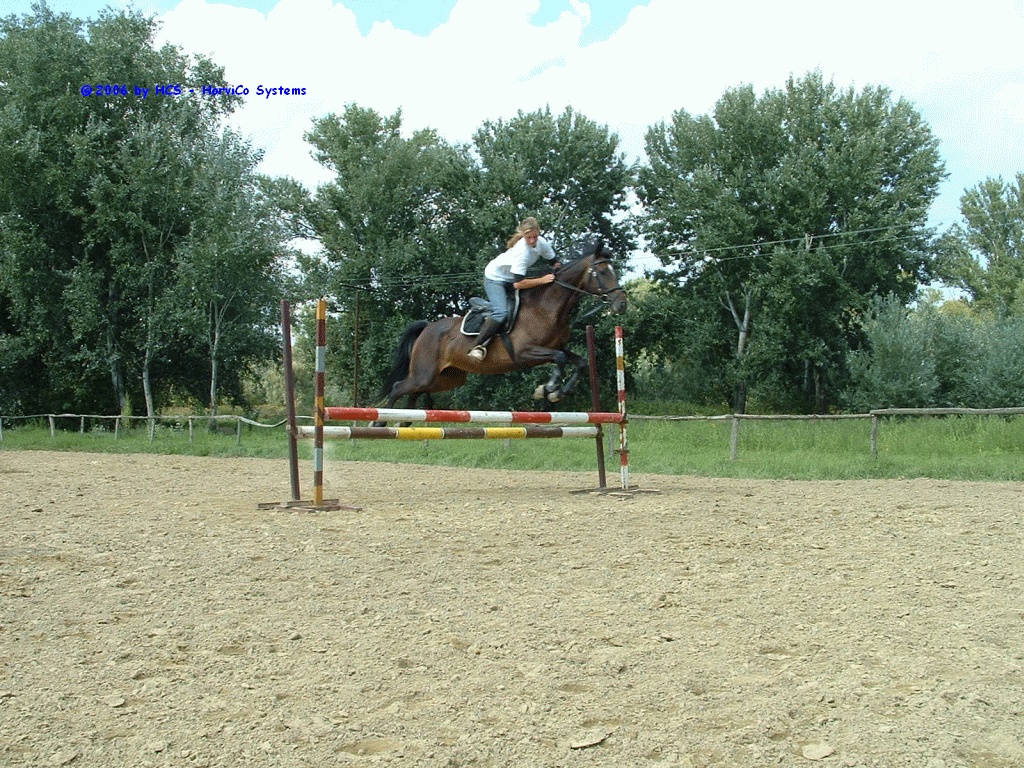 DSCF0046