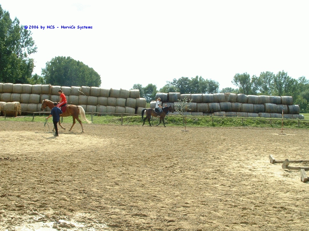 DSCF0048