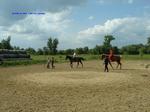DSCF0069 DSCF0069