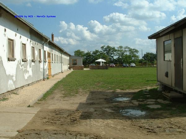 DSCF0081
