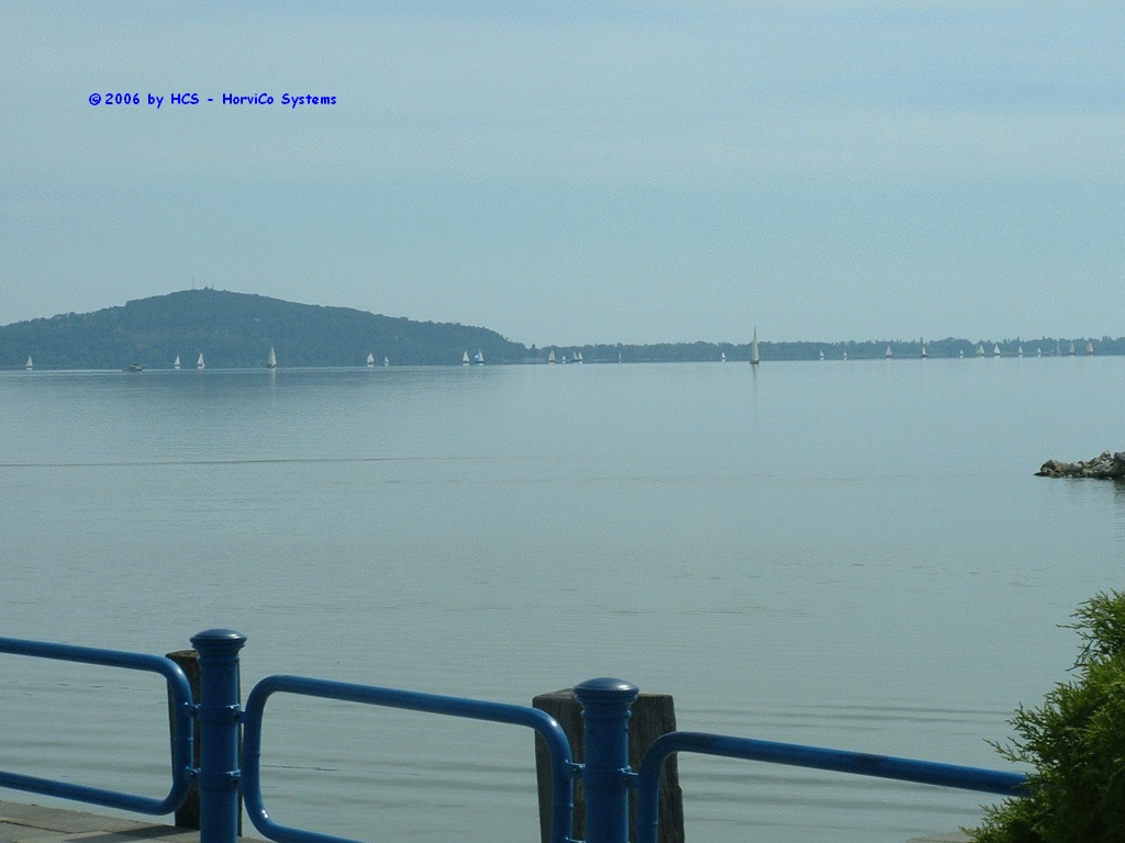 DSCF0019