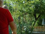 DSCF0071 DSCF0071