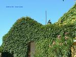 DSCF0074 DSCF0074
