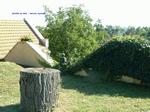 DSCF0081 DSCF0081
