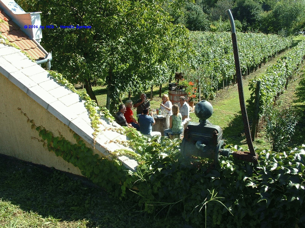 DSCF0090