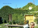 DSCF0099 DSCF0099