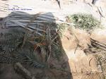 IMG_0002 IMG_0002