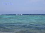 IMG_0009 IMG_0009