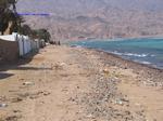 IMG_0011 IMG_0011