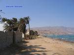 IMG_0013 IMG_0013