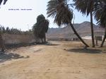 IMG_0019 IMG_0019