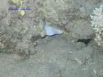 IMG_0076 IMG_0076
