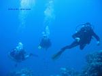 IMG_0047 IMG_0047
