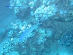 IMG_0048 IMG_0048